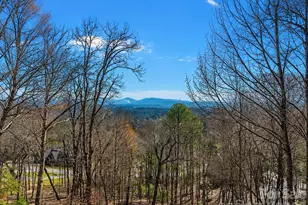 1105 High Vista Dr, Mills River, NC 28759 - Photo 6