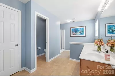 411 Moonshadow Haven, York, SC 29745 - Photo 22