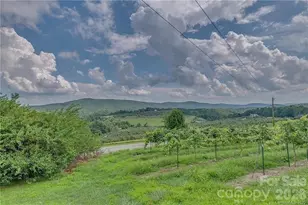 1324 Low Gap Rd, Hendersonville, NC 28792 - Photo 12
