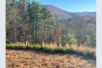 165 Riverbend Forest Drive #11, Asheville, NC 28805 - Photo 2