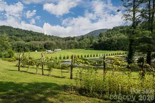 234 Carnelian Dr, Fletcher, NC 28732 - Photo 6