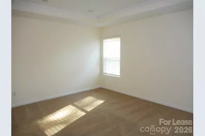 270 Harpers Run Lane, Indian Trail, NC 28104 - Photo 12