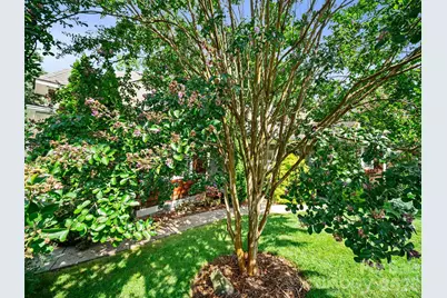6 Oak Springs Drive, Arden, NC 28704 - Photo 34