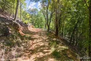 207 Little Horse Rd, Waynesville, NC 28786 - Photo 26