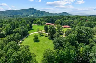 29 Pleasant Hill Rd, Marion, NC 28752 - Photo 2