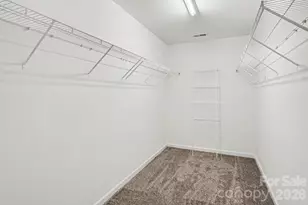 10035 Barrands Ln, Charlotte, NC 28278 - Photo 24