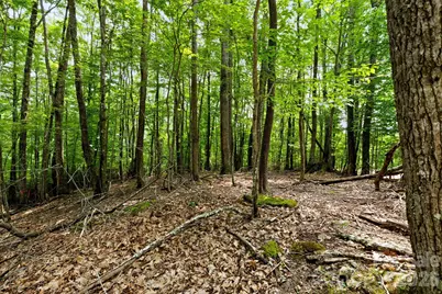 203 Sourwood Lane #186, Beech Mountain, NC 28604 - Photo 8