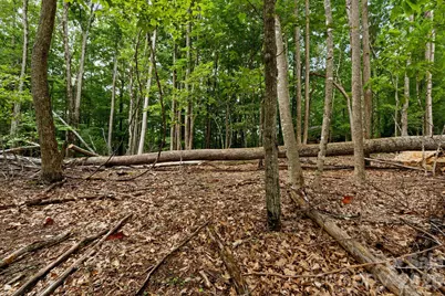 203 Sourwood Lane #186, Beech Mountain, NC 28604 - Photo 6