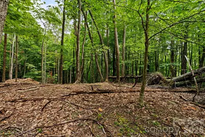 203 Sourwood Lane #186, Beech Mountain, NC 28604 - Photo 4