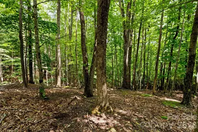 203 Sourwood Lane #186, Beech Mountain, NC 28604 - Photo 10