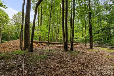 203 Sourwood Lane #186, Beech Mountain, NC 28604 - Photo 2