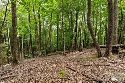 203 Sourwood Lane #186, Beech Mountain, NC 28604 - Photo 1