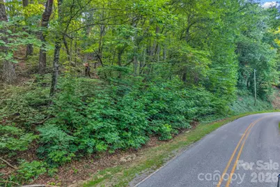 00 Hogback Mountain Road #63, Tryon, NC 28782 - Photo 4