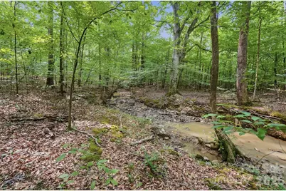 Vac Pond Road, Locust, NC 28097 - Photo 4