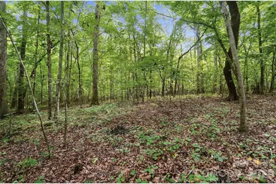 Vac Pond Road, Locust, NC 28097 - Photo 6
