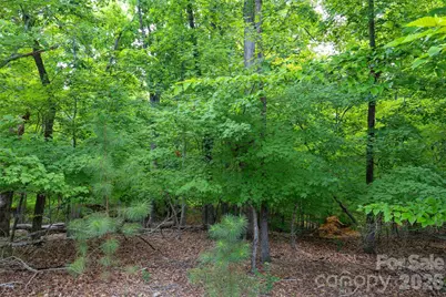 17232 Coves Edge Lane, Charlotte, NC 28278 - Photo 48