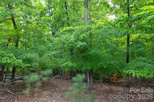 17232 Coves Edge Ln, Charlotte, NC 28278 - Photo 48