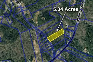 3925 Ernandez Rd, Richburg, SC 29729 - Photo 2