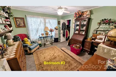 253 Royalwood Drive, Zirconia, NC 28790 - Photo 16