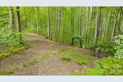 253 Royalwood Drive, Zirconia, NC 28790 - Photo 38