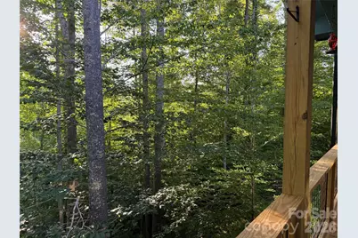 30 Sandys Home Place, Mars Hill, NC 28754 - Photo 18