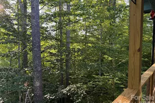 30 Sandys Home Pl, Mars Hill, NC 28754 - Photo 18