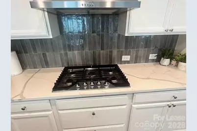 3606 Walter Nelson Road, Charlotte, NC 28227 - Photo 8