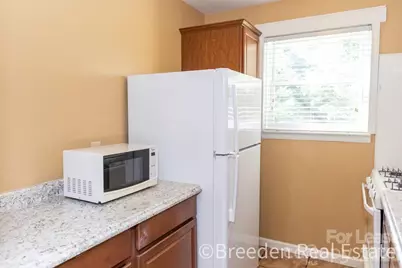 239 Maple Street, Rutherfordton, NC 28139 - Photo 8
