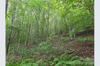 701 Pigeon Roost Road, Banner Elk, NC 28604 - Photo 4