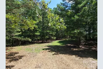 0 Montgomery Road, Blackstock, SC 29014 - Photo 6