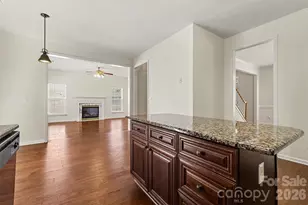 11938 Harmon Ln, Pineville, NC 28134 - Photo 6
