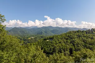 444 Lookout Pt, Bryson City, NC 28713 - Photo 46