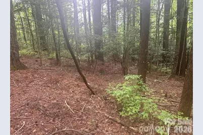 Tbd Upper Whitewater Road, Brevard, NC 28712 - Photo 4