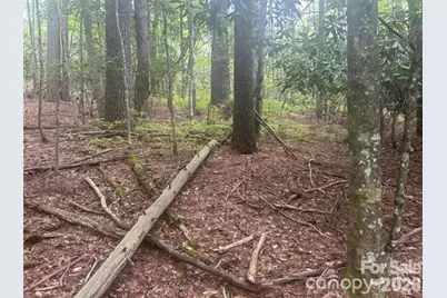 Tbd Upper Whitewater Road, Brevard, NC 28712 - Photo 6