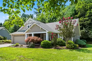 196 Snowy Egret Way, Hendersonville, NC 28792 - Photo 30