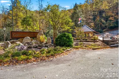 4 Nvya Court, Brevard, NC 28712 - Photo 46