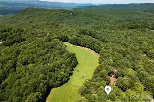 4 Nvya Ct, Brevard, NC 28712 - Photo 6