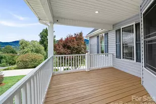 119 Horseshoe Trail, Barnardsville, NC 28709 - Photo 46