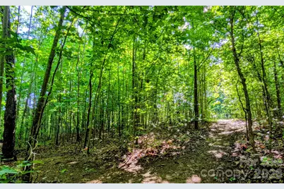 3985 Mt Hope Church Road, Salisbury, NC 28146 - Photo 40