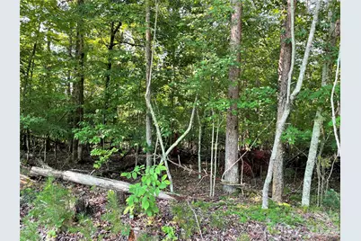 0 River Bend Drive #48, Connelly Springs, NC 28612 - Photo 2