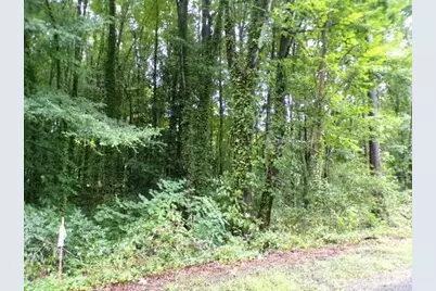 0 Larch Road #28, Salisbury, NC 28147 - Photo 2