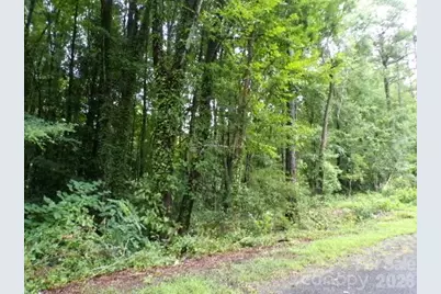 0 Larch Road #28, Salisbury, NC 28147 - Photo 1