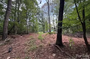 651 Bishs Way Bishs Way, Lincolnton, NC 28092 - Photo 10