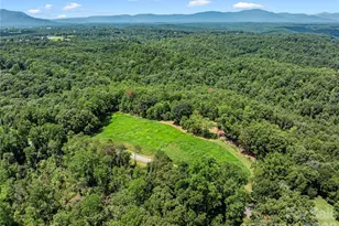 292 Fowler Rd, Mill Spring, NC 28756 - Photo 28