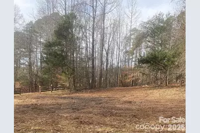 3205 Collinsville Road, Columbus, NC 28722 - Photo 36