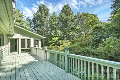 3 Rodney Court, Flat Rock, NC 28731 - Photo 28