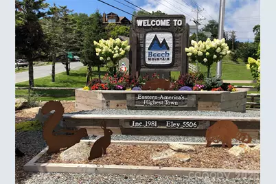 301 Pinnacle Inn Road #2116, Beech Mountain, NC 28604 - Photo 42