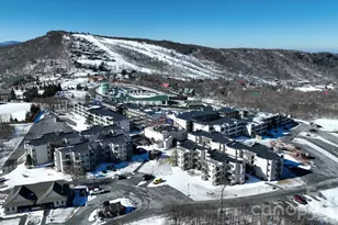 301 Pinnacle Inn Rd, Beech Mountain, NC 28604 - Photo 48