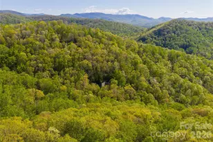 36 Snowshoe Dr, Asheville, NC 28803 - Photo 44
