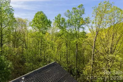 36 Snowshoe Drive, Asheville, NC 28803 - Photo 48